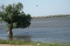 Булгарский Дворик. Фото 2786.