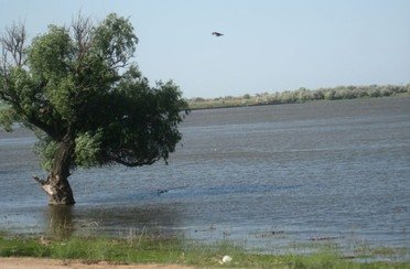 Булгарский Дворик. Фото 2786.