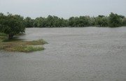 Булгарский Дворик. Фото 2787.