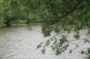 Булгарский Дворик. Фото 2790.