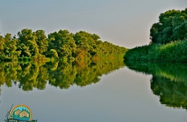 Астория. Фото 2793.