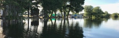 Иголка 199. Фото 2849.