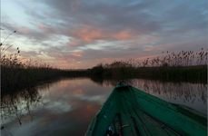Каспийская. Фото 2854.