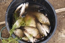 Просторная. Фото 2863.