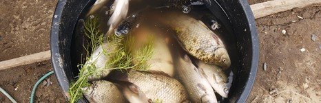 Просторная. Фото 2863.