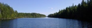 Зеленый дом. Фото 2882.