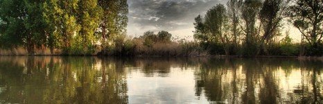 Нерестина. Фото 2910.