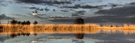 Нерестина. Фото 2911.