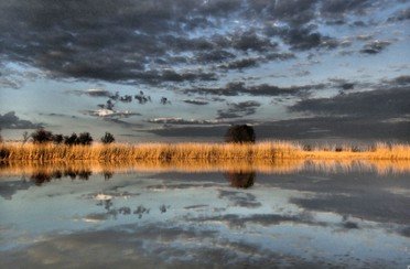 Нерестина. Фото 2911.