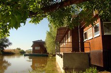 Нерестина. Фото 2916.