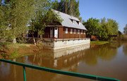 Нерестина. Фото 2918.