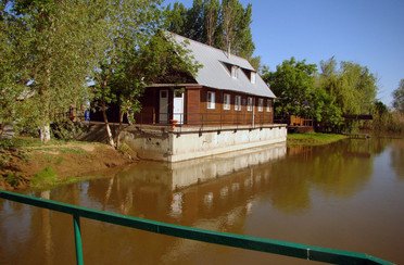 Нерестина. Фото 2918.