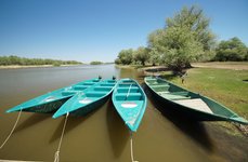 Камышовый рай. Фото 2930.