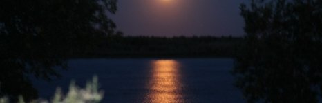 Волга-Волга. Фото 2939.