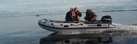 Сегозеро. Фото 294.