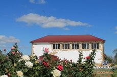 Волга-Волга. Фото 2941.