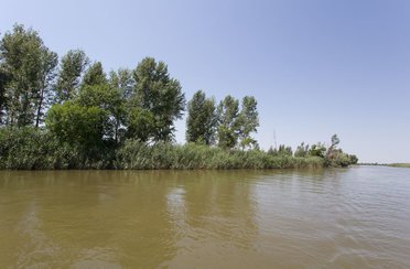 Взморье. Фото 2975.