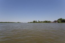 Взморье. Фото 2977.