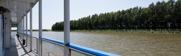 Взморье. Фото 2982.
