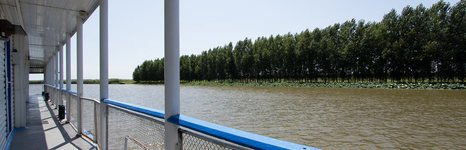 Взморье. Фото 2982.