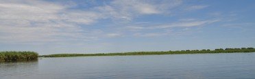 Золотой лотос. Фото 2997.