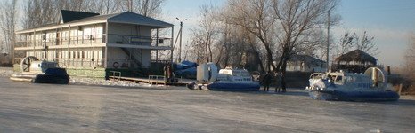 Золотой лотос. Фото 2998.