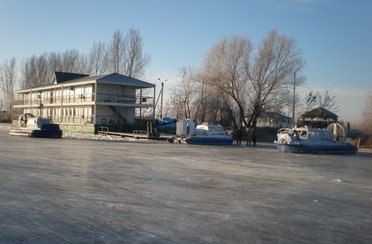 Золотой лотос. Фото 2998.