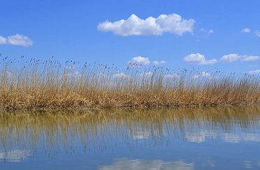 В дельте Волги. Фото 3010.