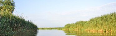 В дельте Волги. Фото 3011.
