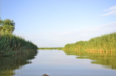 В дельте Волги. Фото 3011.