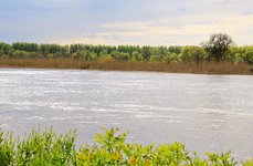 В дельте Волги. Фото 3014.