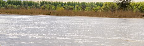 В дельте Волги. Фото 3014.