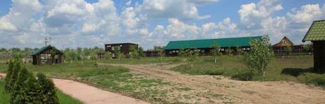 Приветливая. Фото 3027.