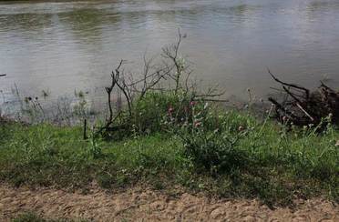 Приветливая. Фото 3033.