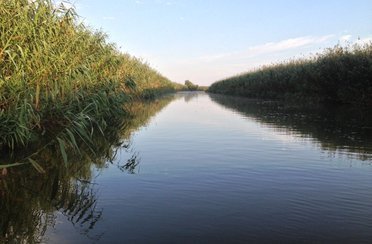 Этель. Фото 3039.