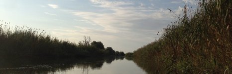 Этель. Фото 3040.