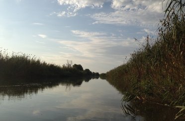 Этель. Фото 3040.
