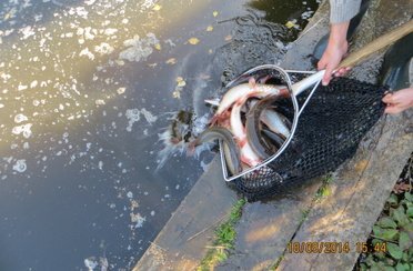 Двенди. Фото 3044.