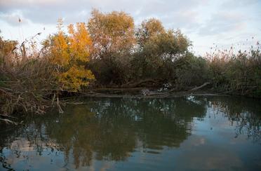 Зюйд-вест. Фото 3081.