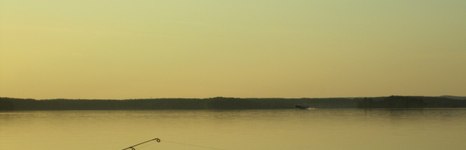 Лонгасы. Фото 309.