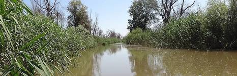 Бороздиновская. Фото 3092.