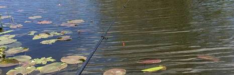 Бороздиновская. Фото 3093.