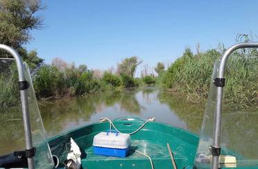 Бороздиновская. Фото 3094.