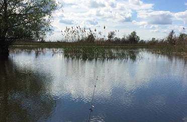 Бороздиновская. Фото 3097.