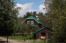 Черные камни. Фото 3105.