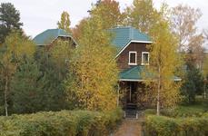 Черные камни. Фото 3106.