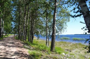 Черные камни. Фото 3116.