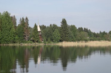 Лонгасы. Фото 312.