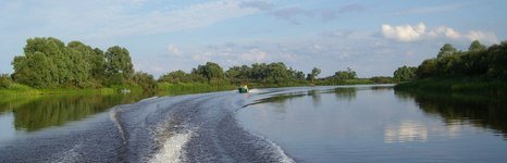 Глухарь Клуб. Фото 3142.