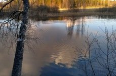 Задубье. Фото 3146.